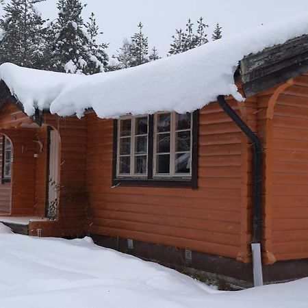 B&B Camp Aengra Lassekrog 外观 照片