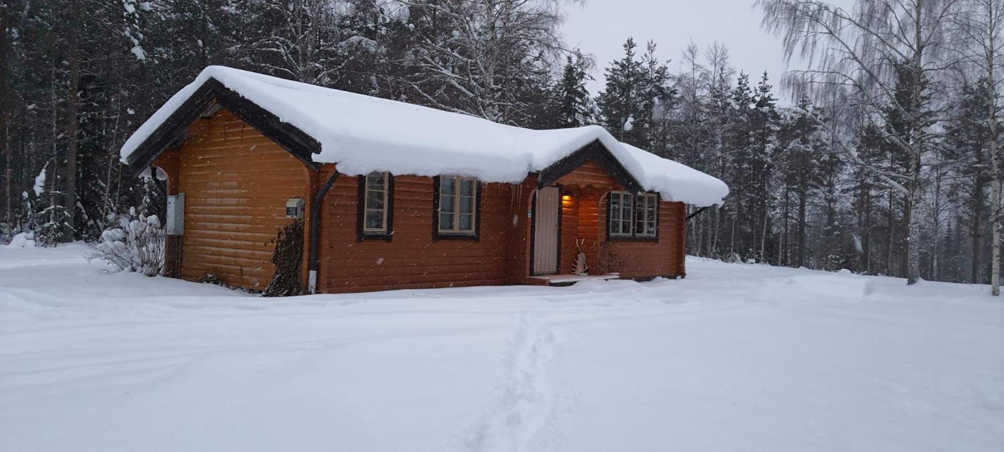 B&B Camp Aengra Lassekrog 外观 照片